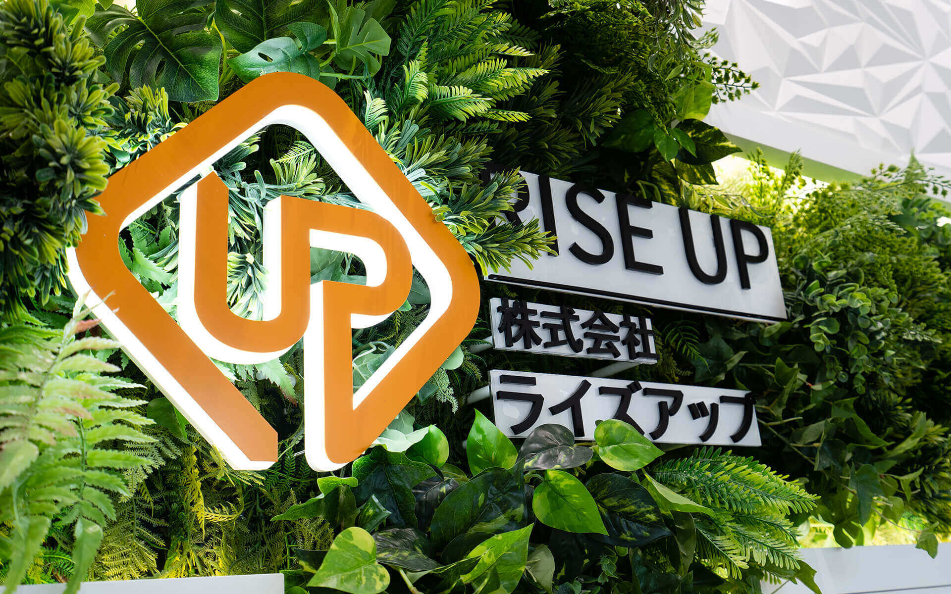 ライズアップの理念